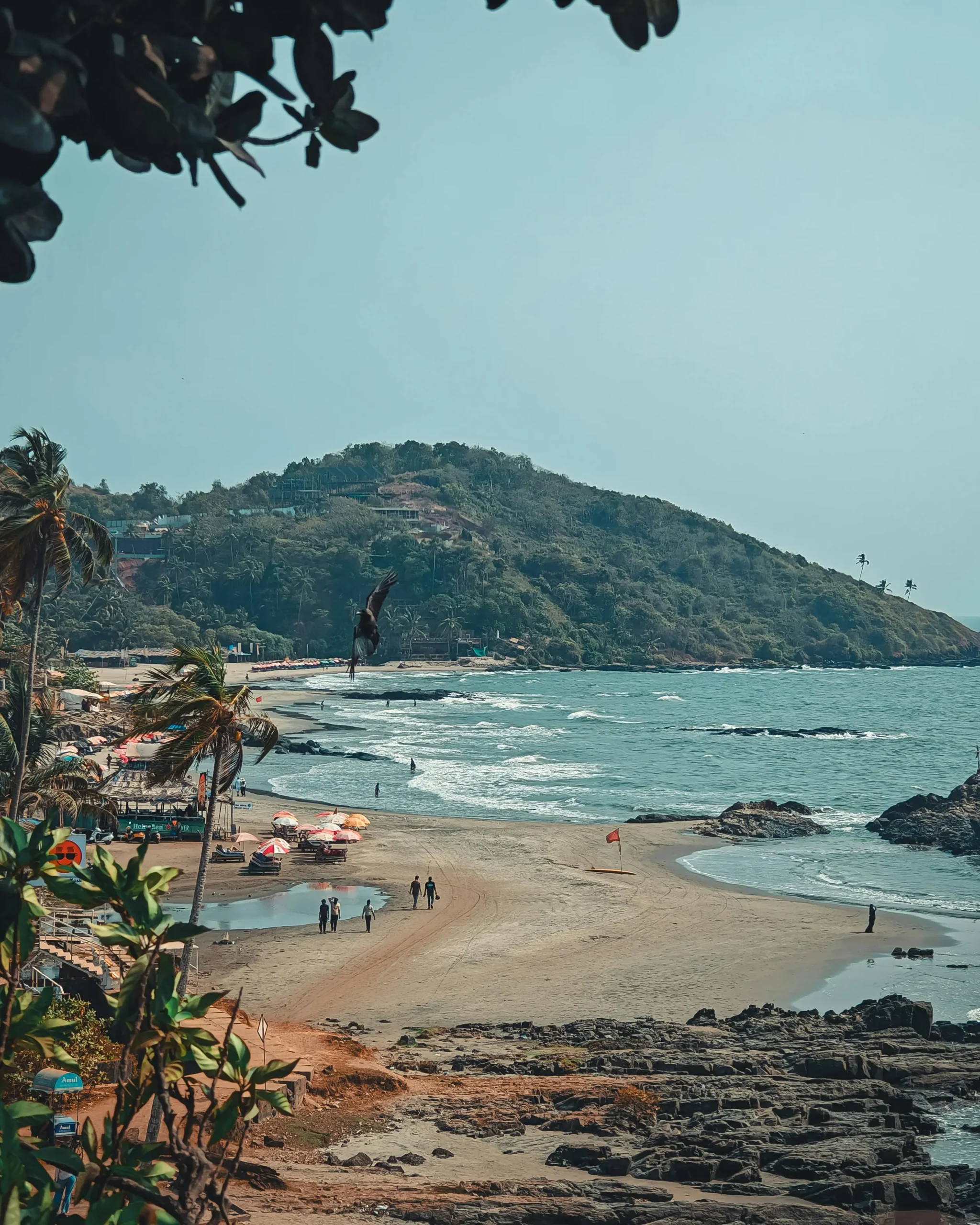 goa travel guide