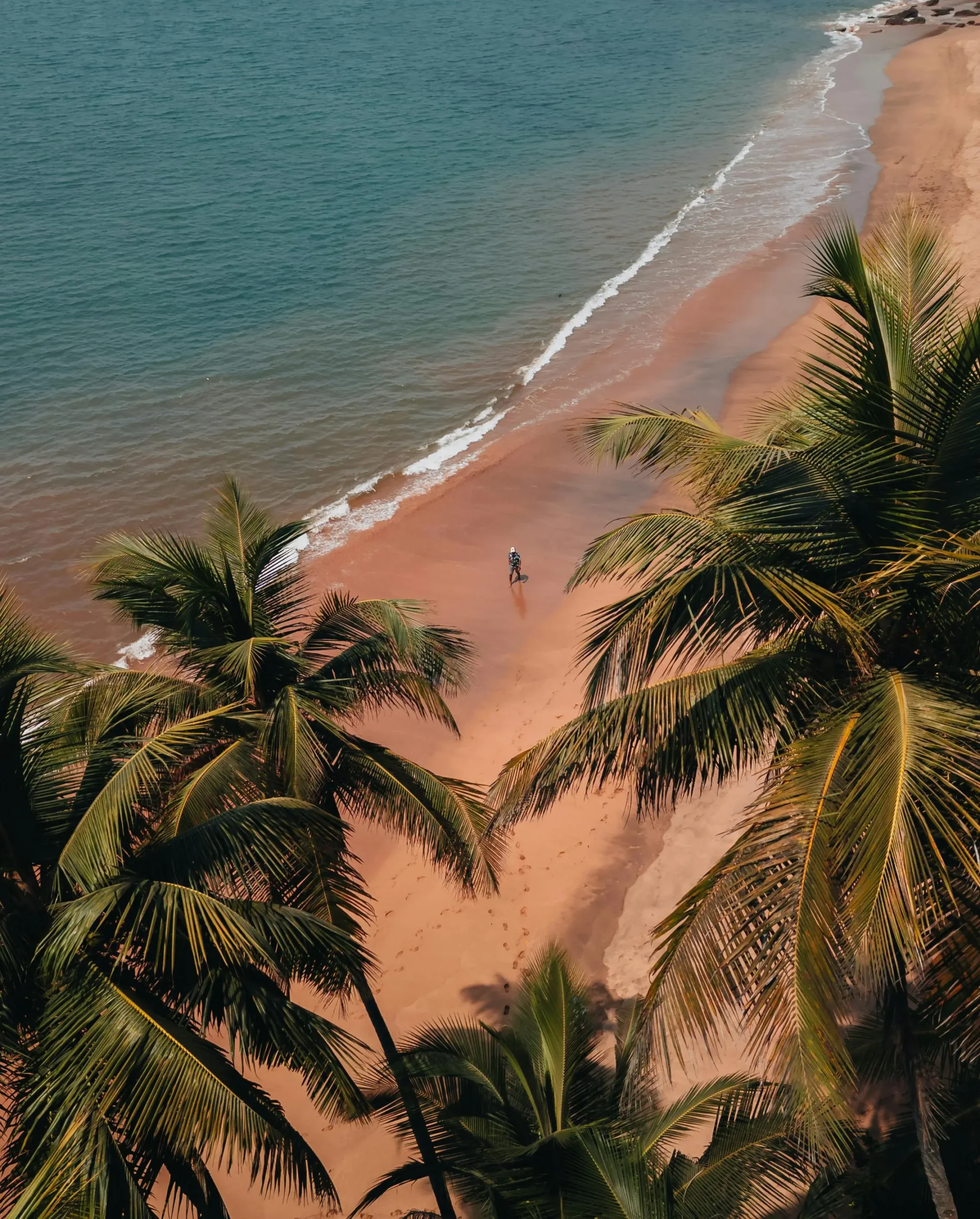 Goa Travel Guide- Places to Visit in goa